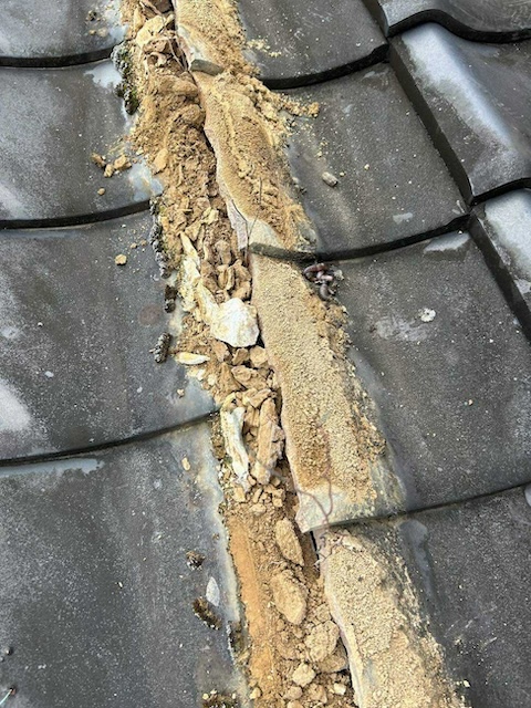 土撤去・別角度